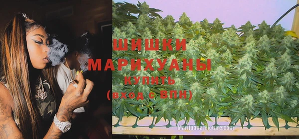 винт Арсеньев