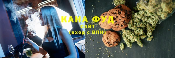 гидра Няндома