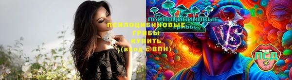 винт Арсеньев